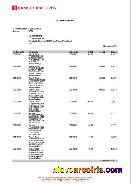 Maldives Bank of Maldives account statement Word and PDF